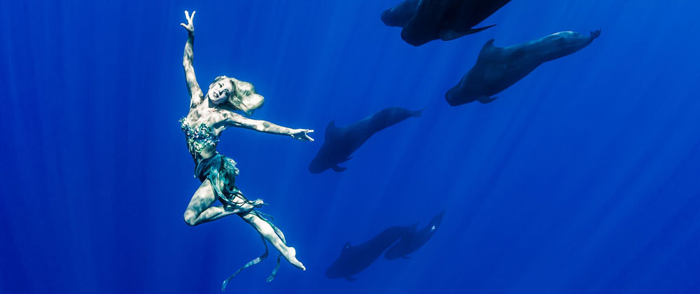 A Mermaid Dances With Sharks