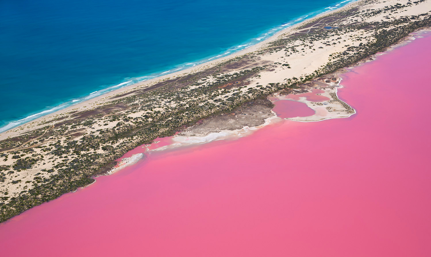 Розовое озеро Лагуна Хатт в Австралии